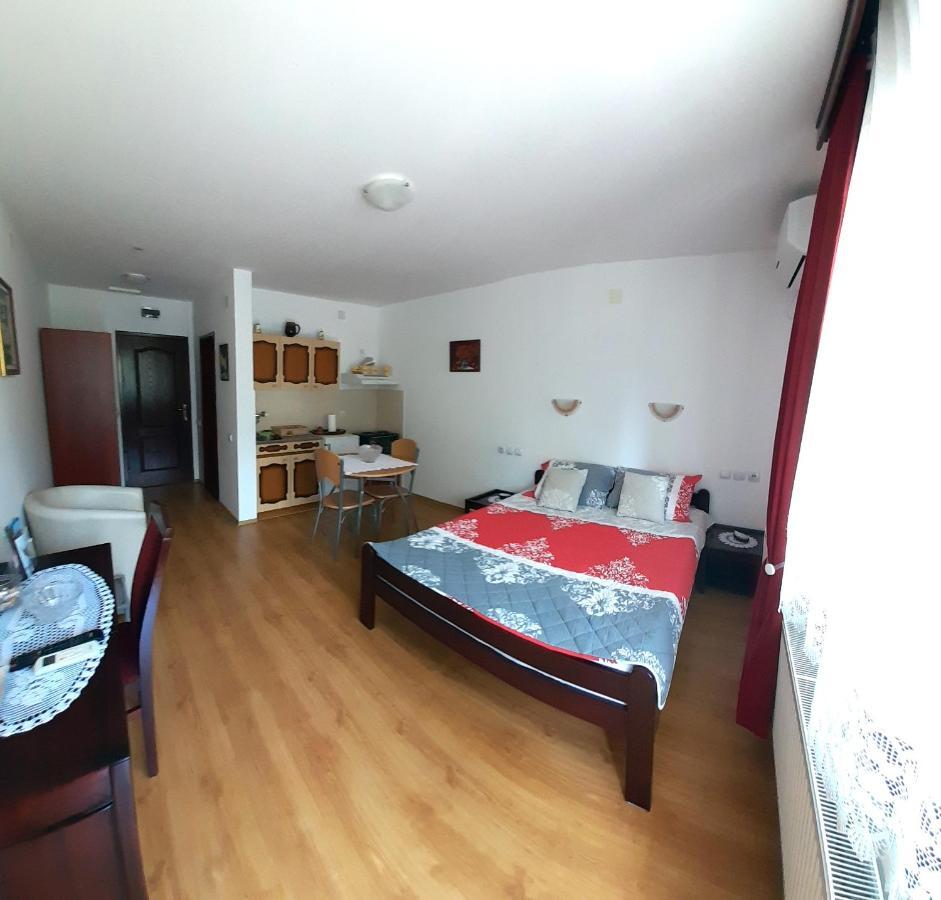 Apartmani "Vila Jelena" Arandjelovac Esterno foto