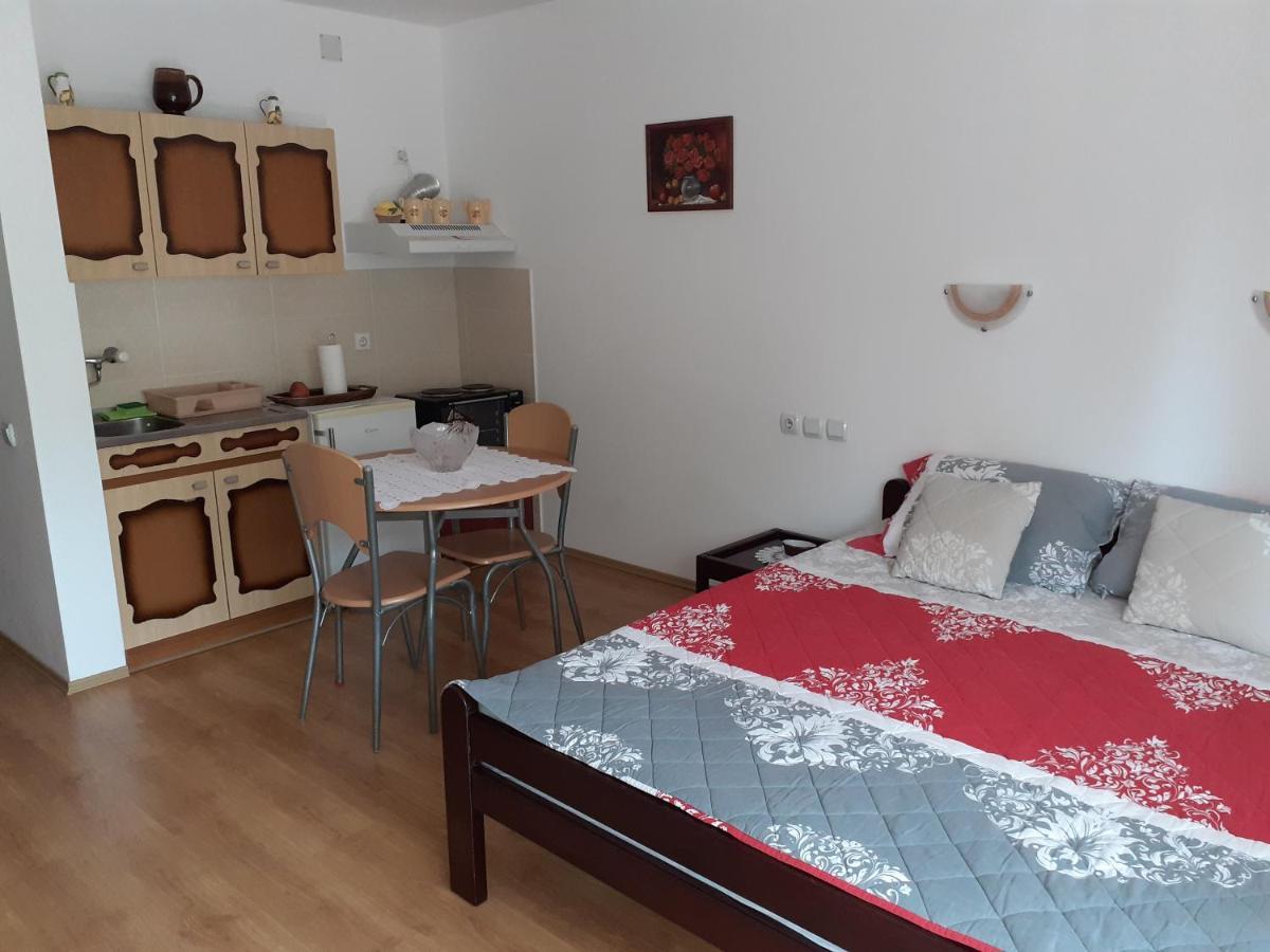 Apartmani "Vila Jelena" Arandjelovac Esterno foto