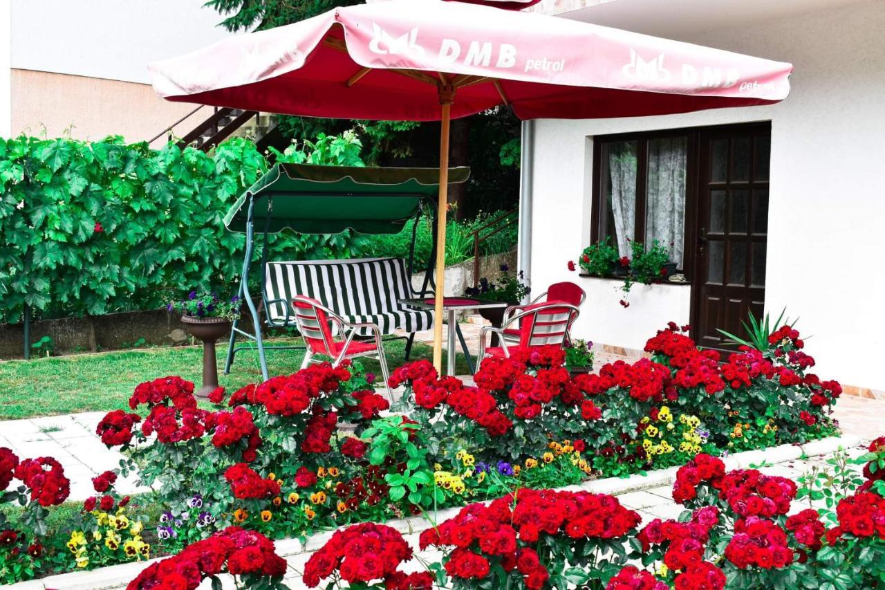 Apartmani "Vila Jelena" Arandjelovac Esterno foto