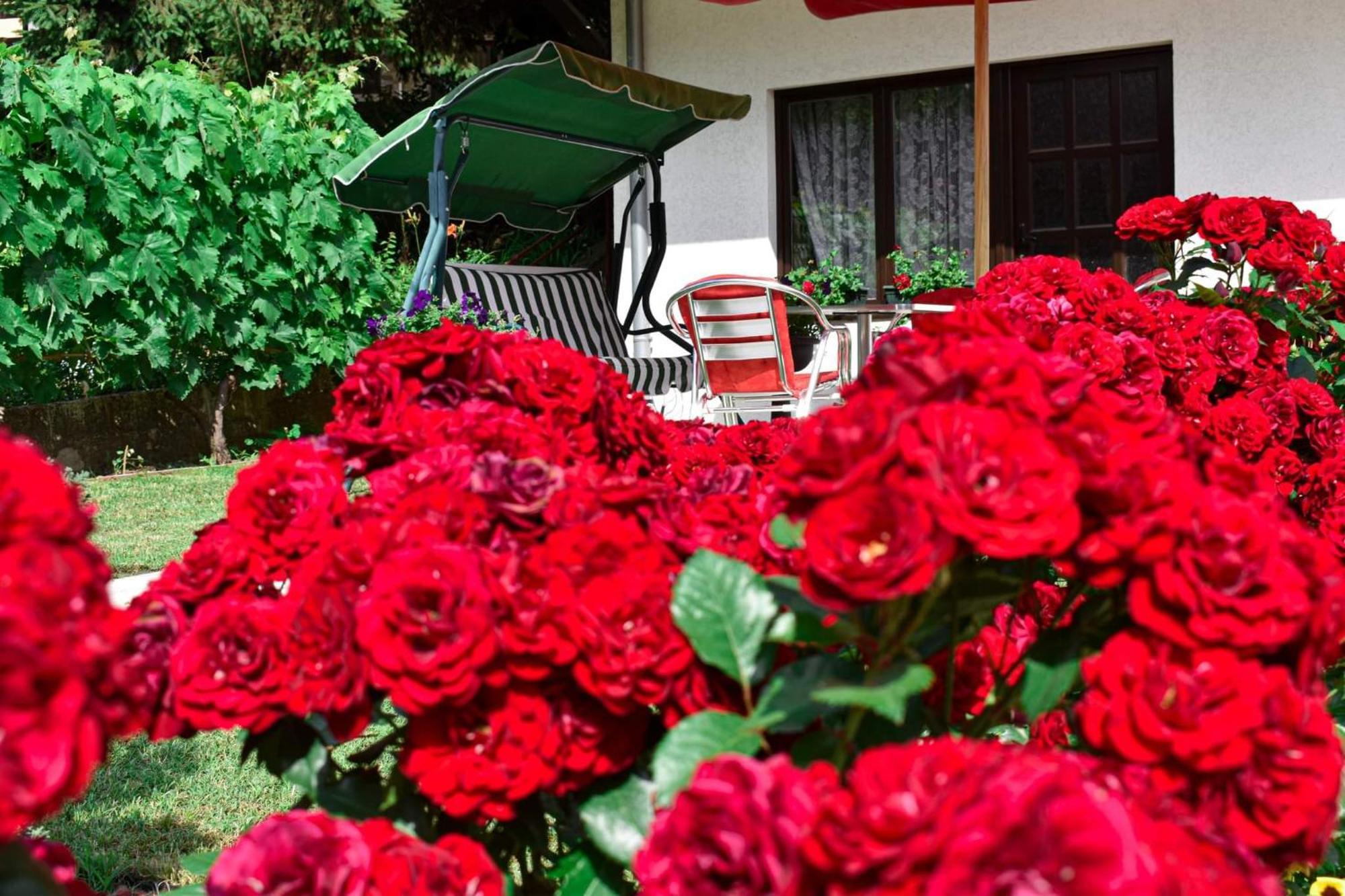 Apartmani "Vila Jelena" Arandjelovac Camera foto