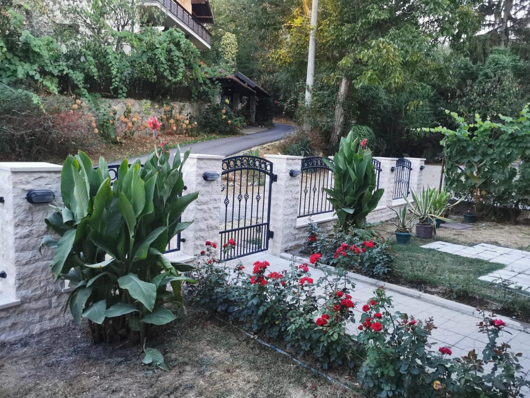 Apartmani "Vila Jelena" Arandjelovac Esterno foto