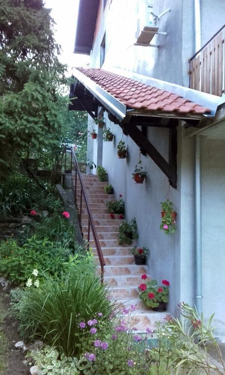 Apartmani "Vila Jelena" Arandjelovac Esterno foto