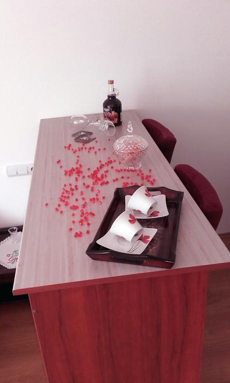 Apartmani "Vila Jelena" Arandjelovac Esterno foto