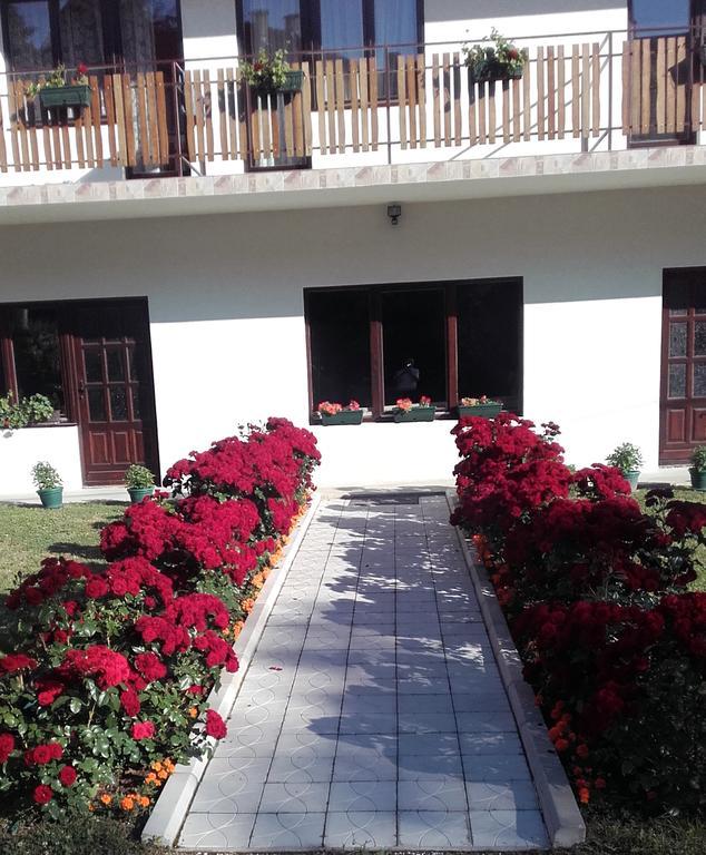 Apartmani "Vila Jelena" Arandjelovac Esterno foto