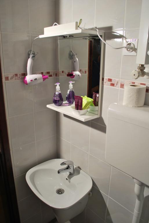 Apartmani "Vila Jelena" Arandjelovac Esterno foto